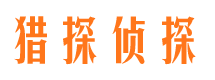 亭湖市侦探公司